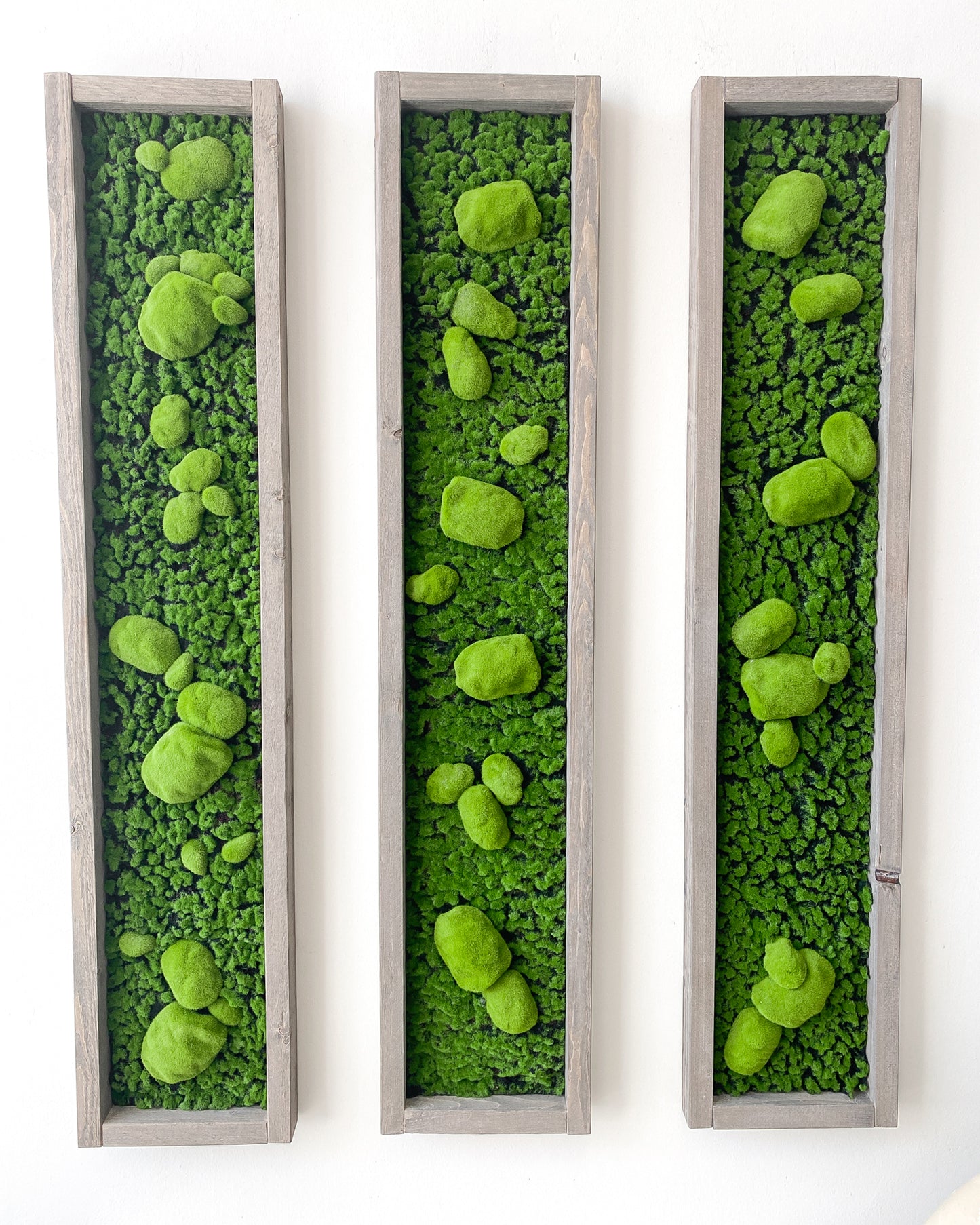 Moosbild/Mooswand/Mooswandkunst "GREEN BUNS" aus Realtouch Kunstmoss mit Fichtenholzrahmen