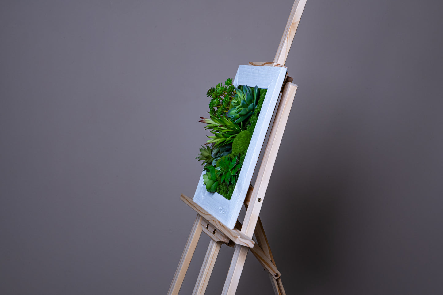 Tiny Frame 'Pula' aus Realtouch Kunstpflanzen mit Massivholzrahmen