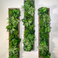 Plantframe/Pflanzenbild/Mooswand "SAMANA" aus Realtouch Kunstpflanzen im Dschungel Design, Fichtenholzrahmen