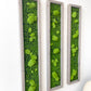 Moosbild/Mooswand/Mooswandkunst "GREEN BUNS" aus Realtouch Kunstmoss mit Fichtenholzrahmen