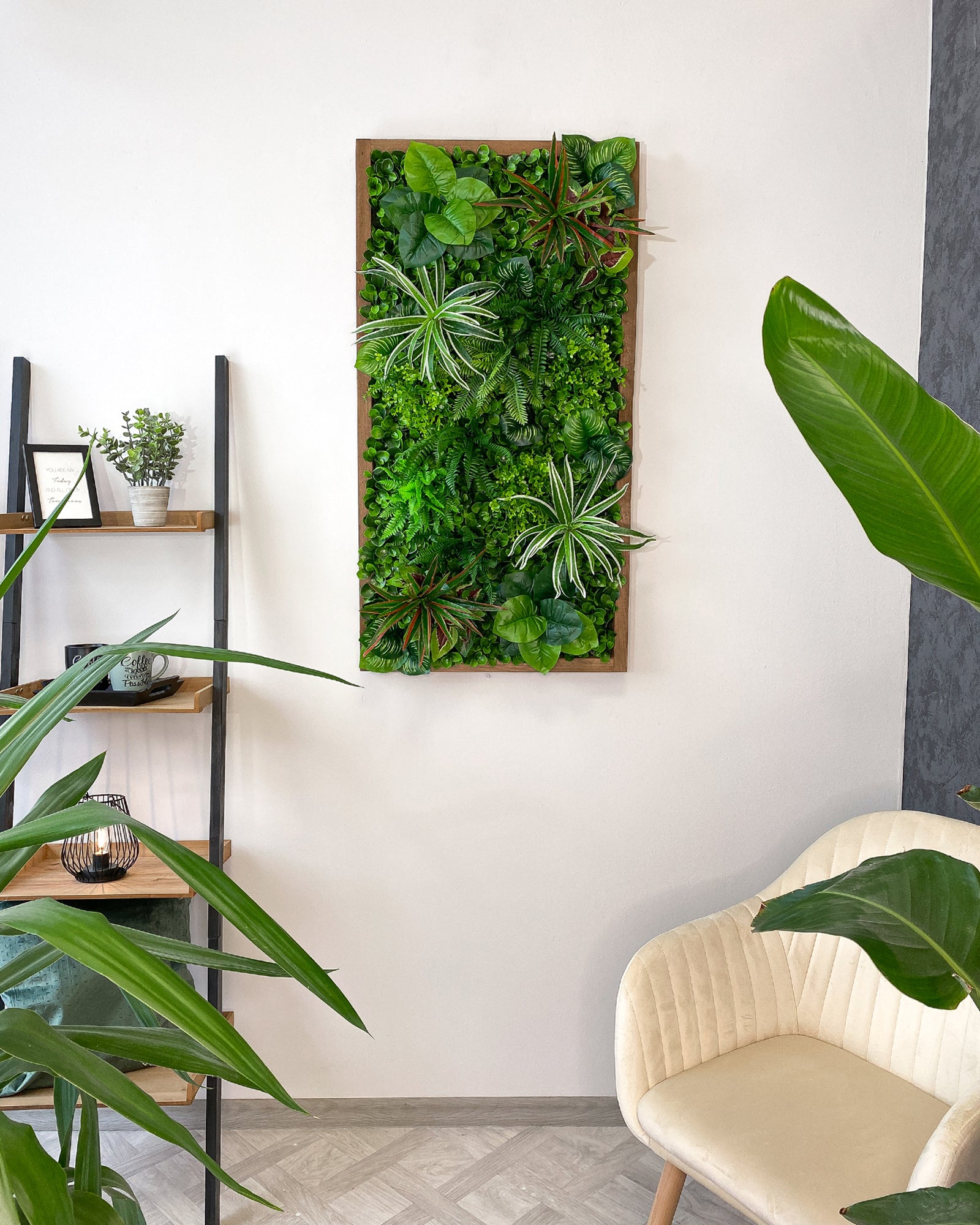 Plant frame/plant picture/plant wall 