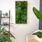 Plantframe/Pflanzenwand/Mooswand "YUCATAN" aus Realtouch Kunstpflanzen mit Fichtenholzrahmen