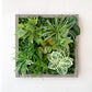 Plantframe/plant wall/moss wall "NUBLAR" made of Realtouch artificial plants with brown spruce wood frame
