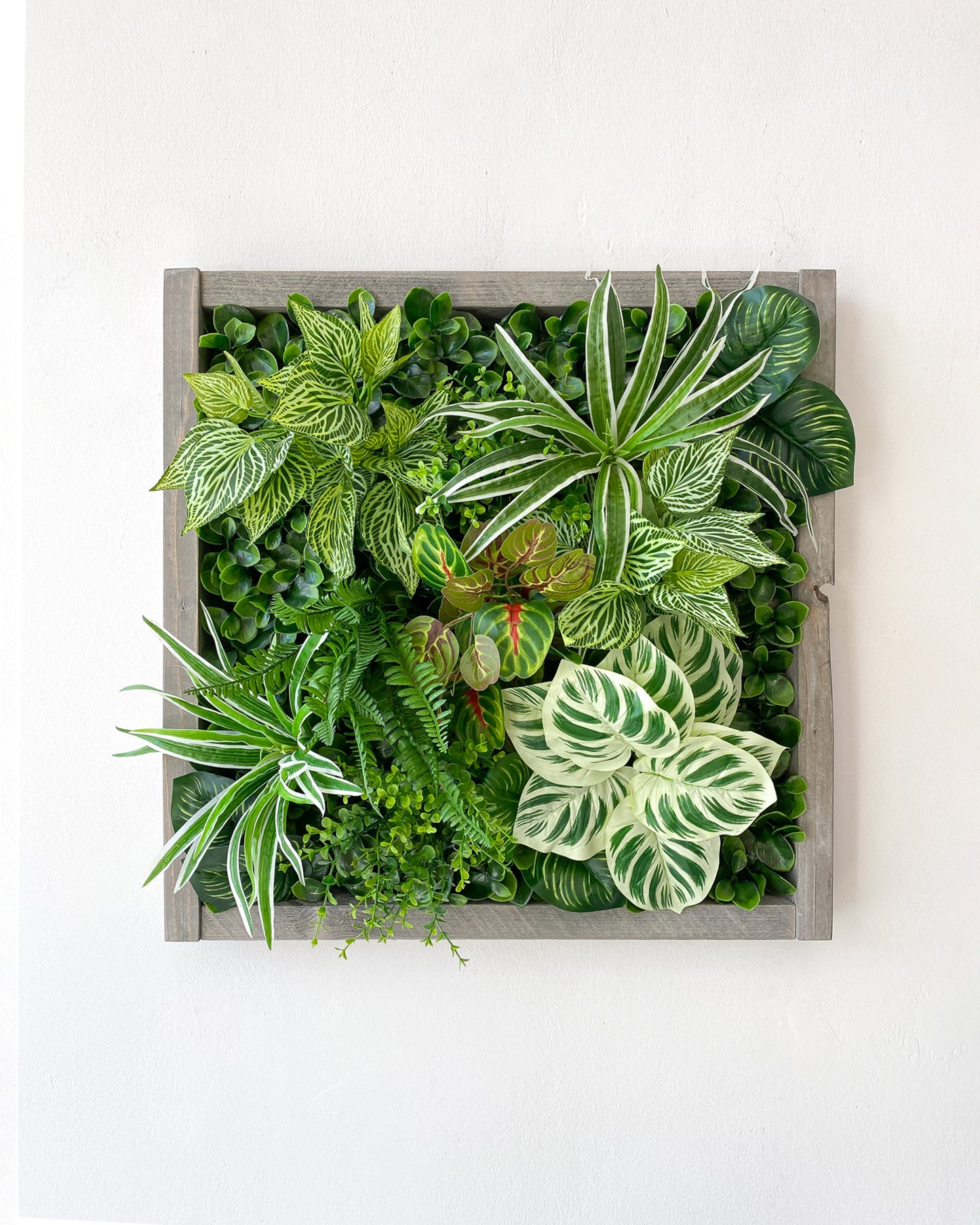 Plantframe/Pflanzenwand/Mooswand "NUBLAR" aus Realtouch Kunstpflanzen mit braunem Fichtenholzrahmen