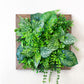 Tiny Frame "PARANA" aus Realtouch Kunstpflanzen mit Fichtenholzrahmen