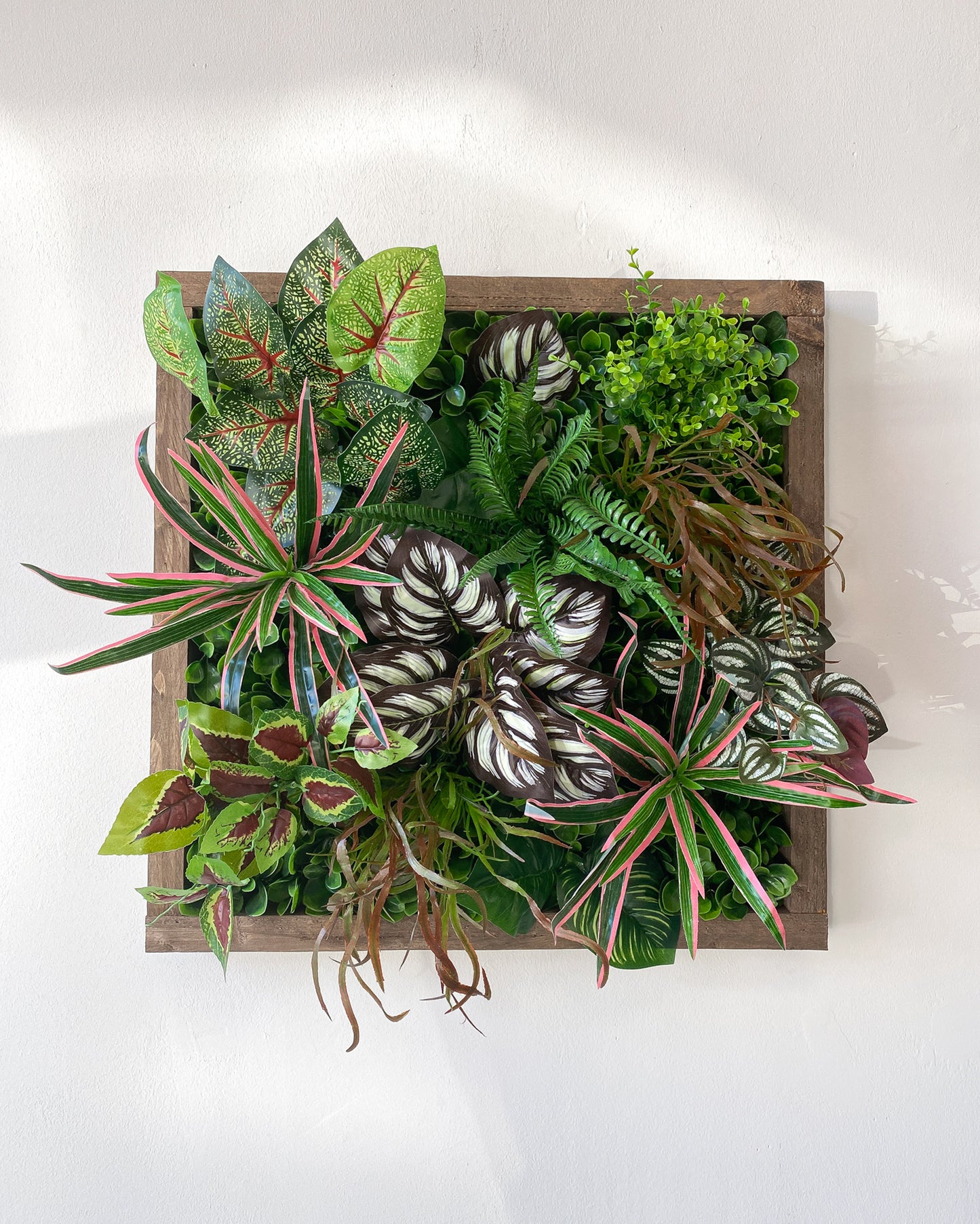 Plantframe/Pflanzenwand/Mooswand "SORNA" aus Realtouch Kunstpflanzen mit braunem Fichtenholzrahmen