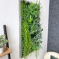 Plantframe/plant wall/moss wall "BOGOTÁ" made of Realtouch artificial plants with gray spruce wood frame