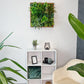 Plantframe/plant wall/moss wall "YUCATAN" made of Realtouch artificial plants with spruce wood frame